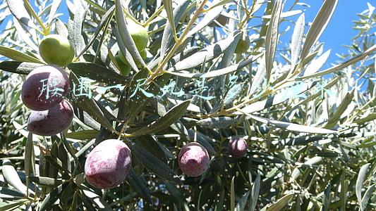 腰围一尺九是多少厘米