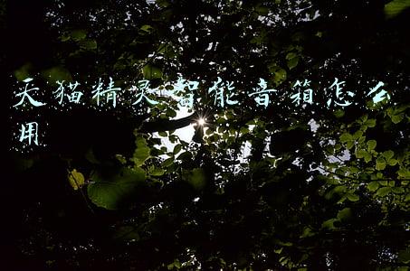 天猫精灵智能音箱怎么用