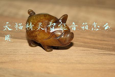 天猫精灵智能音箱怎么用