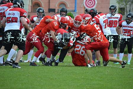 苹果查序列号查询官网