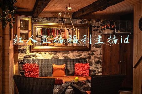 红人直播福利主播id