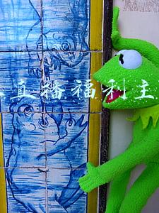 红人直播福利主播id