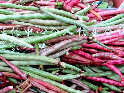 征信中心个人信用查询登录入口中国人民银行(中国人民银行征信中心二代个人信用信报告查询入口)