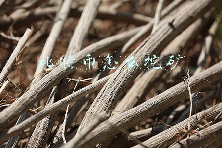 手机比特币怎么挖矿(比特币挖矿是怎么通过手机操作的)