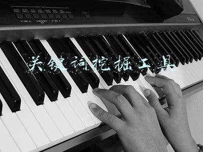 关键词挖掘工具