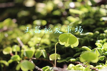 玉器批发市场