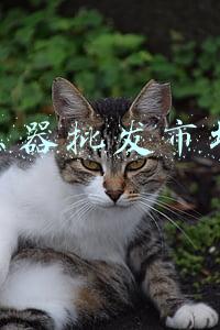 玉器批发市场