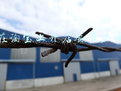 在淘宝上开店要多少钱