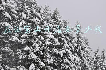 在淘宝上开店要多少钱