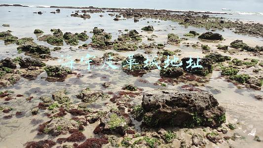 海宁皮革城地址