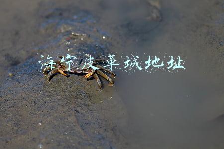 海宁皮革城地址