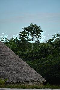 90厘米是多少尺