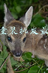 哪里童装批发最便宜