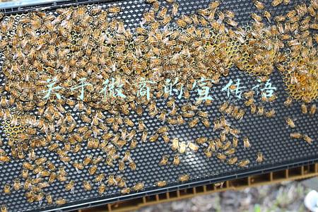 关于微商的宣传语