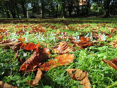 关于微商的宣传语