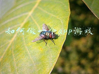 如何做一个app游戏