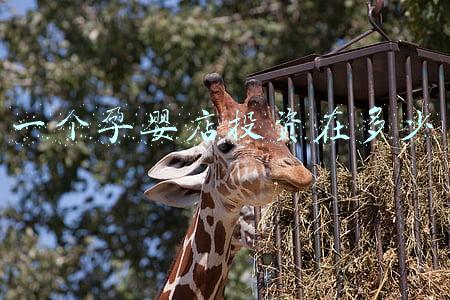 母婴用品店利润有多少：开个孕婴店利润多少