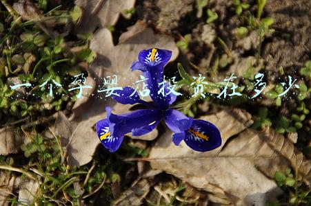 开个孕婴店需要多少钱,无需经验 开母婴店需要多少钱?