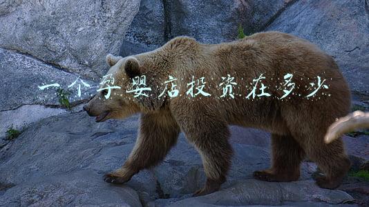 开母婴店需要多少钱?_开个孕婴店需要投资多少钱