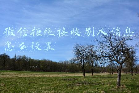 微信拒绝接收别人消息怎么设置