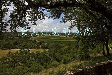 货真价实的意思 货真价实的意思