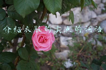 介绍衣服的卖点的词语