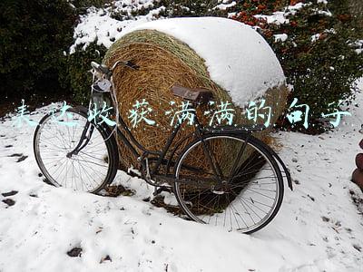 表达收获满满的句子 表达收获满满的句子