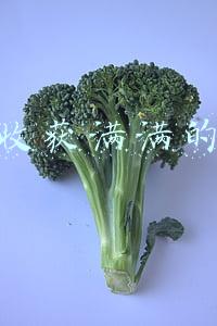 表达收获满满的句子 表达收获满满的句子