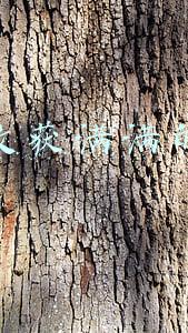 表达收获满满的句子 表达收获满满的句子