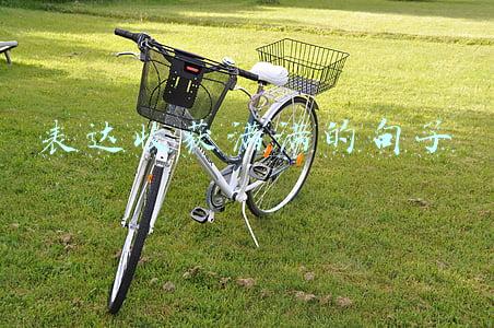 表达收获满满的句子