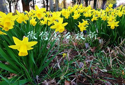 微信怎么投诉 微信怎么投诉