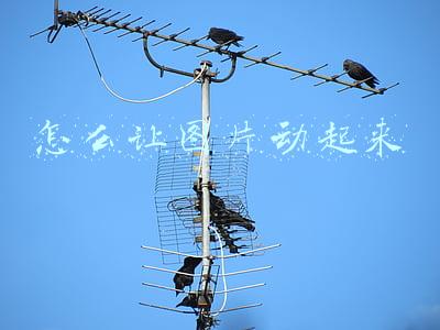 ps怎么让图片动起来(ps怎么让图片中的水流动起来？)