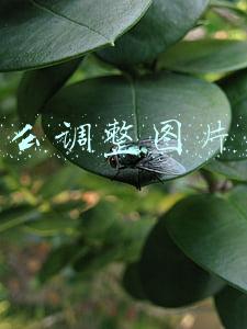 ps怎么调整图片颜色