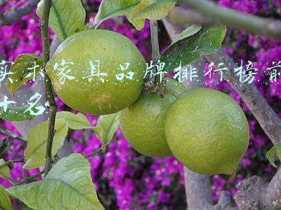 实木家具品牌排行榜前十名