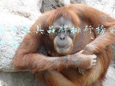 实木家具品牌排行榜前十名