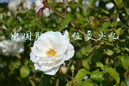 中国股市市值多少亿