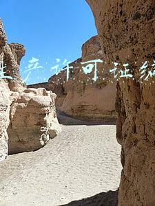 食品生产许可证编号查询