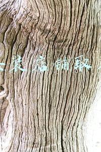 女装店铺取名英文名(好听的欧美女装品牌有哪些？)