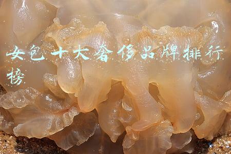 女包十大奢侈品牌排行榜 女包十大奢侈品牌排行榜