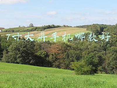 7寸大屏手机哪款好