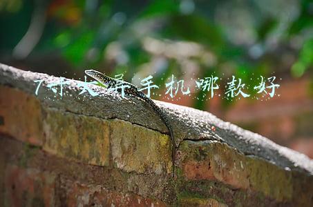 7寸大屏手机哪款好