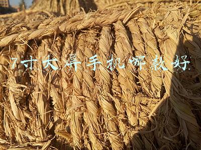 7寸大屏手机哪款好