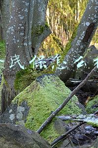 全民保怎么样