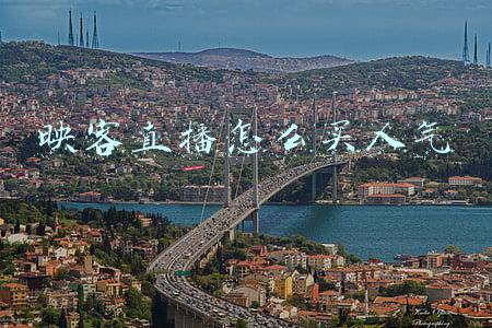 映客直播怎么样才能粉丝多(做了直播没人看？补这三项让你直播间人数破百！0粉丝也能卖货)