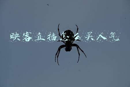 映客直播怎么买人气 映客直播怎么买人气