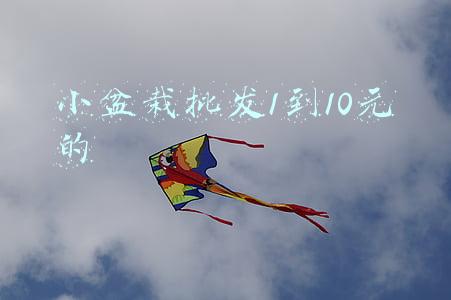 小盆栽批发1到10元的