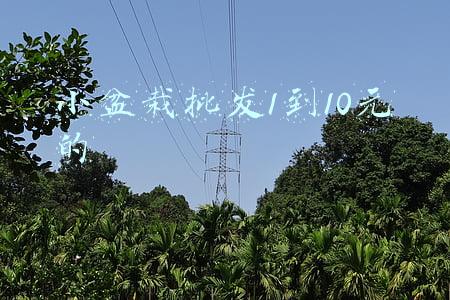小盆栽花盆批发(江苏鑫宇定制日照室内外园林景观拉丝不锈钢花盆批发和定制)