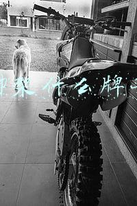 三脚架什么牌子好