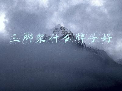 三脚架什么牌子好
