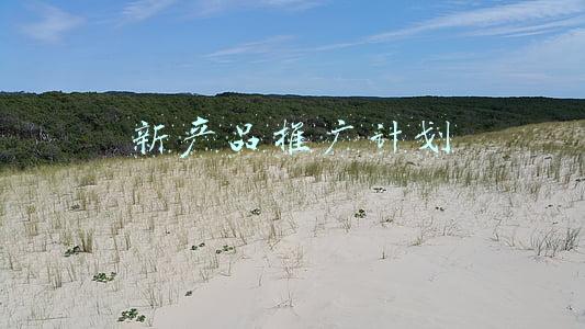 新产品推广计划